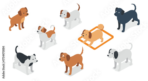 Isometric dogs collection in various poses and breeds