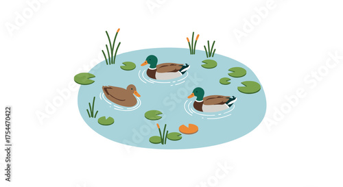 Ducks swimming in a pond with lily pads in a flat design