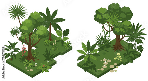 Isometric tropical jungle scene with lush greenery and various plant species