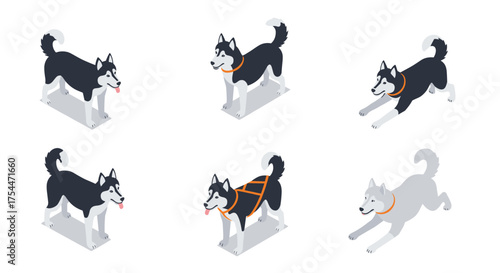 Isometric dogs in playful poses on white background