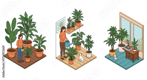 Indoor gardening isometric set with plants and pet scenes in cozy home spaces
