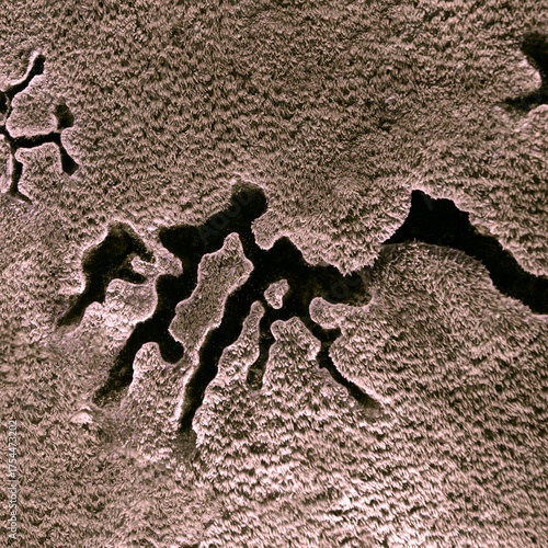 Intricate marking on soft corals. Diving in the underwater world of West Papua, Raja Ampat