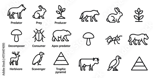 Ecology outline icons set – linear, vector, environmental and wildlife symbols