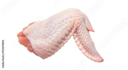 Isolated raw chicken wing meat is displayed ready for cooking and delicious recipes