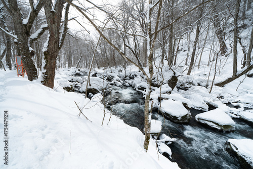 Cold mountain stream surrounded by trees and thick snow, showing the calm flow of clear water under the white silence of winter.