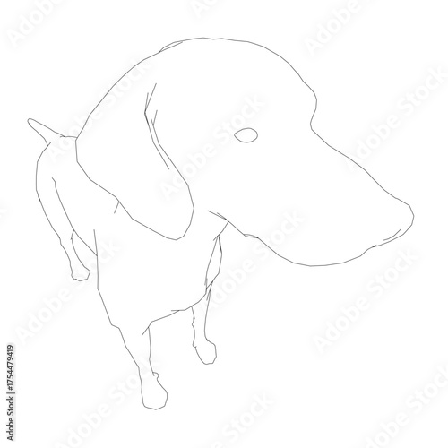 Black and white line art dachshund head with perked ears and direct gaze. Simple contour drawing on clean white background.