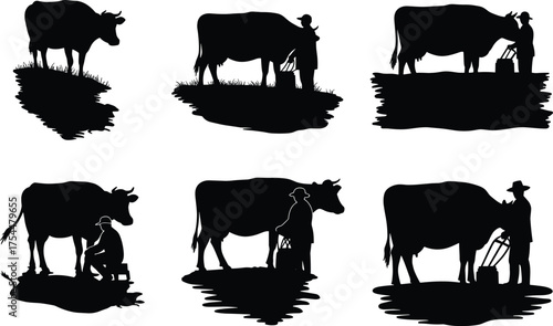 Cow milking silhouette, traditional dairy farming, rural agriculture scene, farmer with bucket, livestock care, black vector illustration, countryside lifestyle, editable graphic