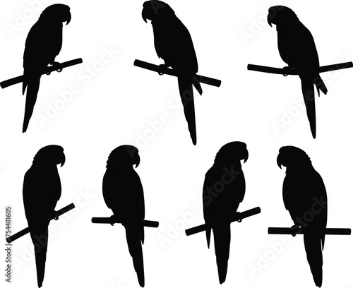 Parrot silhouette vector set, perched bird poses, tropical wildlife illustration, black shape collection, exotic animal design, nature icon, aviary art elements