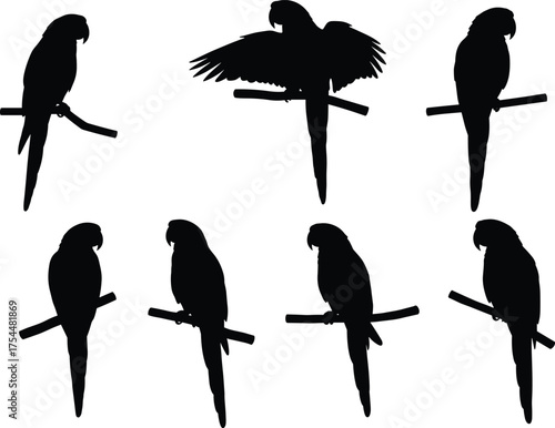 Parrot silhouette vector set, tropical bird poses, perched on branch, exotic wildlife illustration, black shape collection, aviary design elements, nature art