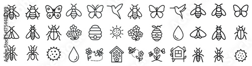Nature and wildlife outline icons set – linear, line, insect and flower symbols