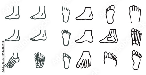 Foot anatomy linear icons set – outline, skeletal, medical and podiatry symbols
