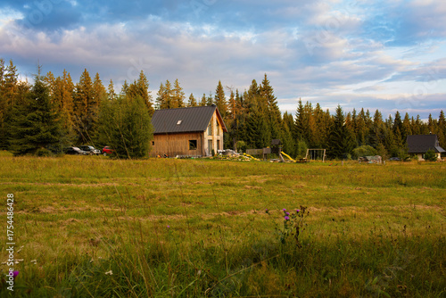 Wooden cabin in the mountains on green meadow under dramatic cloudy sky