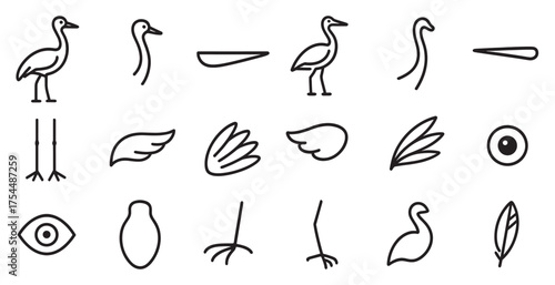 Nature bird outline icons set – line, silhouette, avian and wildlife symbols.