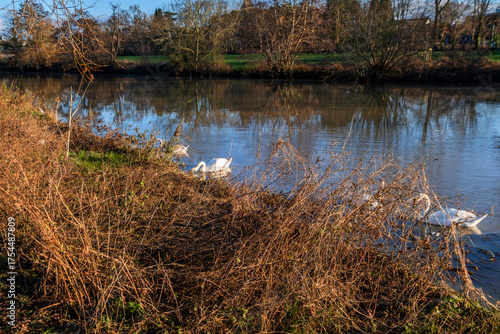 St Nicolas Park Warwick Warwickshire England UK, Alongside River Avon.