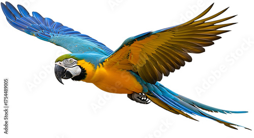 Colorful Macaw Parrot Flying with Vibrant Wings and Feathers in Tropical Sky