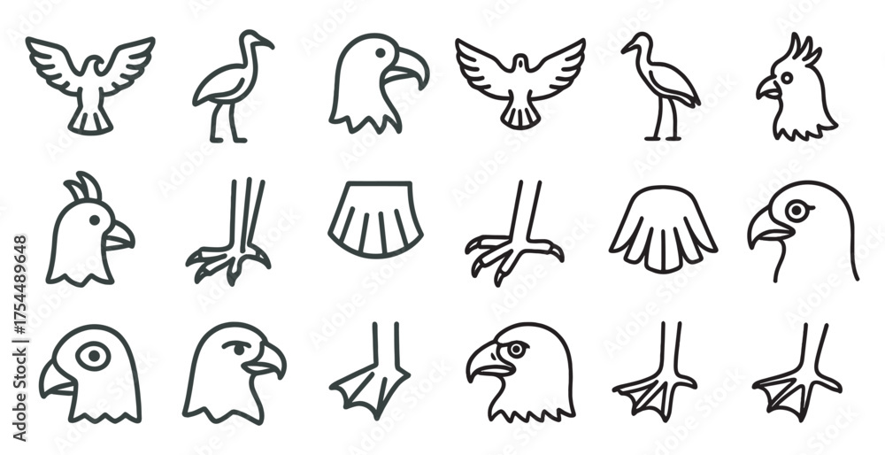 Fototapeta premium Bird and avian outline icons set – silhouette, vector, wildlife symbols