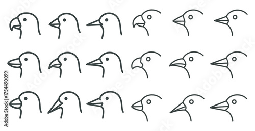 Bird silhouette icons set – line, outline, avian and wildlife symbols.