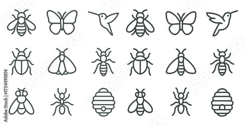 Nature and insect outline icons set – line, silhouette, bug and hive symbols.