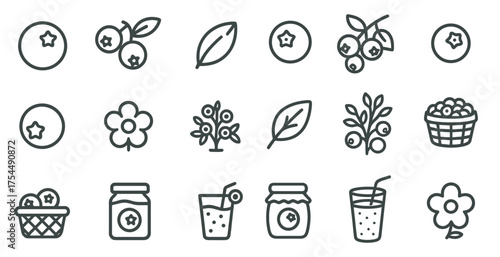 Berry and fruit outline icons set – flavor, organic, nature symbols for packaging.