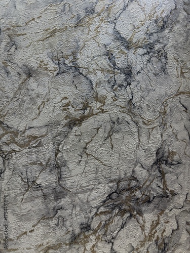 texture of the bark