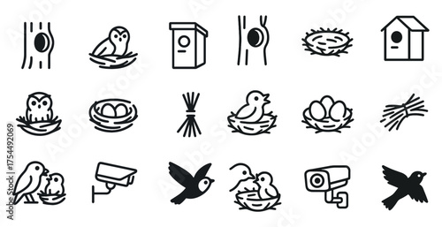 Bird watching outline icons set – silhouette, nest and avian observation symbols