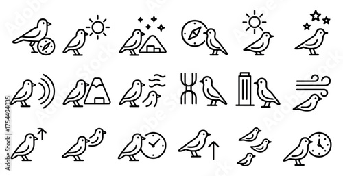Birdwatching and wildlife icons set – outline, linear, avian observation symbols