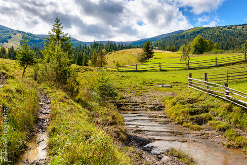 mountainous rural landscape of ukraine in autumn. wooden fence near the path through grassy meadow on the hillside. scenery with fir forest on the mountains on a sunny day under blue sky with clouds © Pellinni