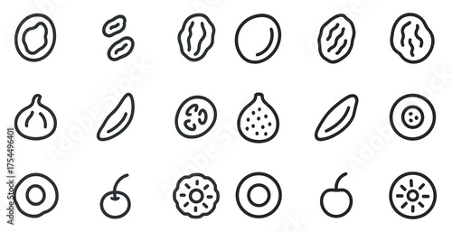 Dried food line icons set – outline, fruit, nut and seed symbols for healthy eating