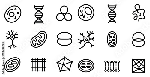 Biology and science outline icons set – linear, scientific, educational symbols