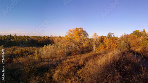 Tablou pe pânză Panoramic autumn landscape of golden dry meadow and thicket under a wide clear b