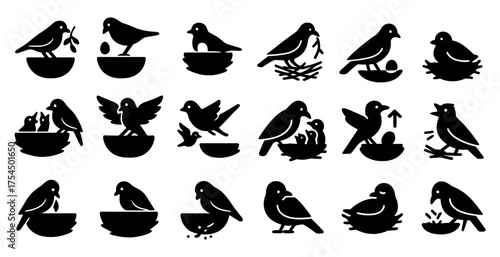 Bird watching silhouette icons set – nature, wildlife, avian symbols