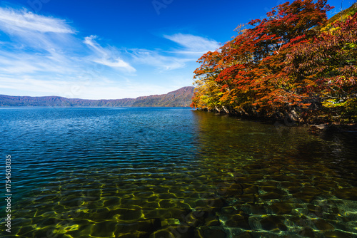 Autumn foliage reflecting on the clear blue water of a lake in northern Japan, capturing the beauty of fall colors under a bright sky.