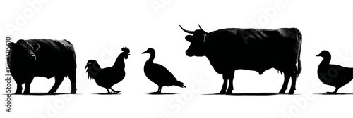 Silhouetted farm animals, a cow, rooster, duck, cow and duck, with black bodies against a white backdrop