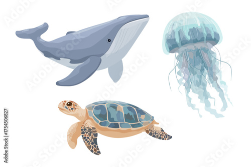 Illustrations of aquatic creatures, including a whale, jellyfish, and sea turtle against a white backdrop