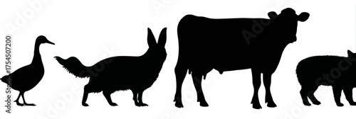 Black silhouettes of various animals arranged left to right in a line against a white background