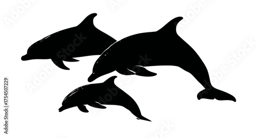 Three black silhouettes of marine mammals against a white background, depicted swimming
