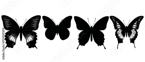Monochrome illustration of four butterflies with varying wing details against a plain white background