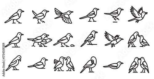Birds and wildlife outline icons set – linear, birdwatching, avian symbols