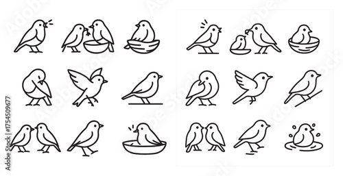 Bird icons set – outline style with avian, wildlife, and nature symbols
