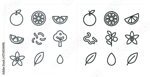 Nature and fruit outline icons set – flora, plant, organic symbols