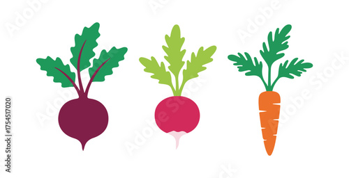 Illustrations of vector icons featuring beets, radishes, and carrots with their tops and leaves. A colorful depiction of table vegetables. Flat icons showcasing fresh organic garden veggies with leave