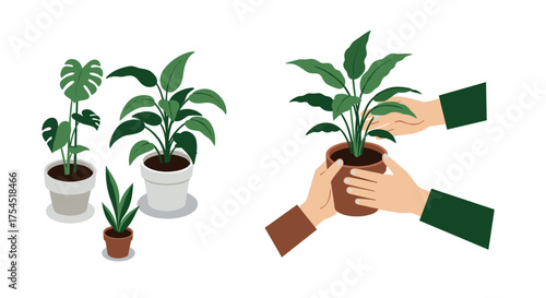Houseplant gardening potted plants and hand care tips for indoor greenery