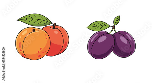 Two vibrant illustrations of fruit featuring peaches and plums.