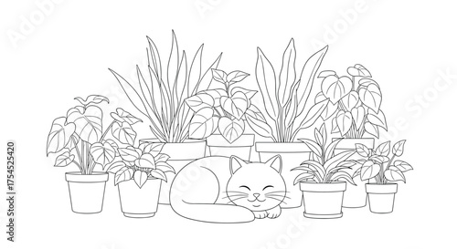 A delightful sketch of various potted plants with a hidden cat among them.