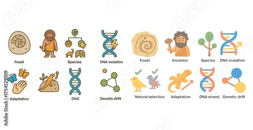 Evolution and science icons set – flat, filled, adaptation and dna symbols