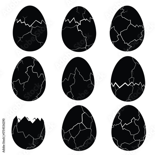 Collection of cracked black eggs depicting hatching process and growth.
