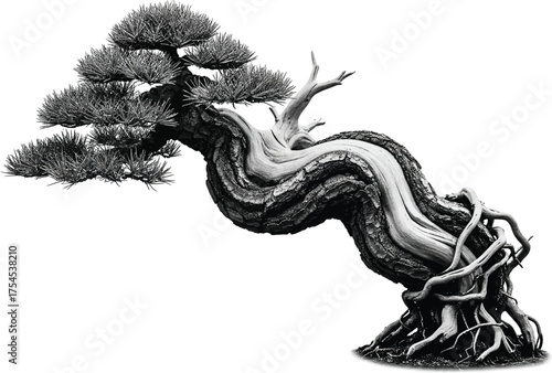 Exquisite Ancient Bonsai Tree with Twisted Trunk and Exposed Roots – Black and White Masterpiece
