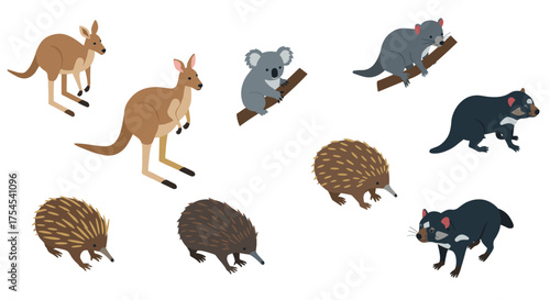 Australian wildlife collection: kangaroos, koalas, tasmanian devils, and echidnas in flat design