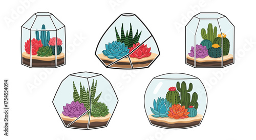 A collection of five pixel art terrariums each containing various cacti and succulents.