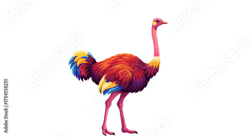 Colorful Ostrich Illustration with Vibrant Plumage and Long Neck